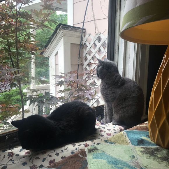 PRICELESS - Picture 4 of 7